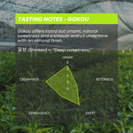 Tea field with tasting notes for Gokou tea variety displayed on a green overlay.