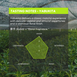 Tea field with tasting notes for Yabukita matcha overlayed on a green hexagonal scale.