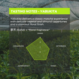 Single Cultivar Yabukita - 35g Tin