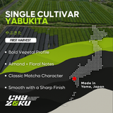 Single Cultivar Yabukita - 35g Tin